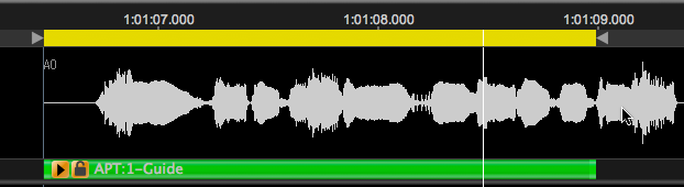 Playback Range set by Process after